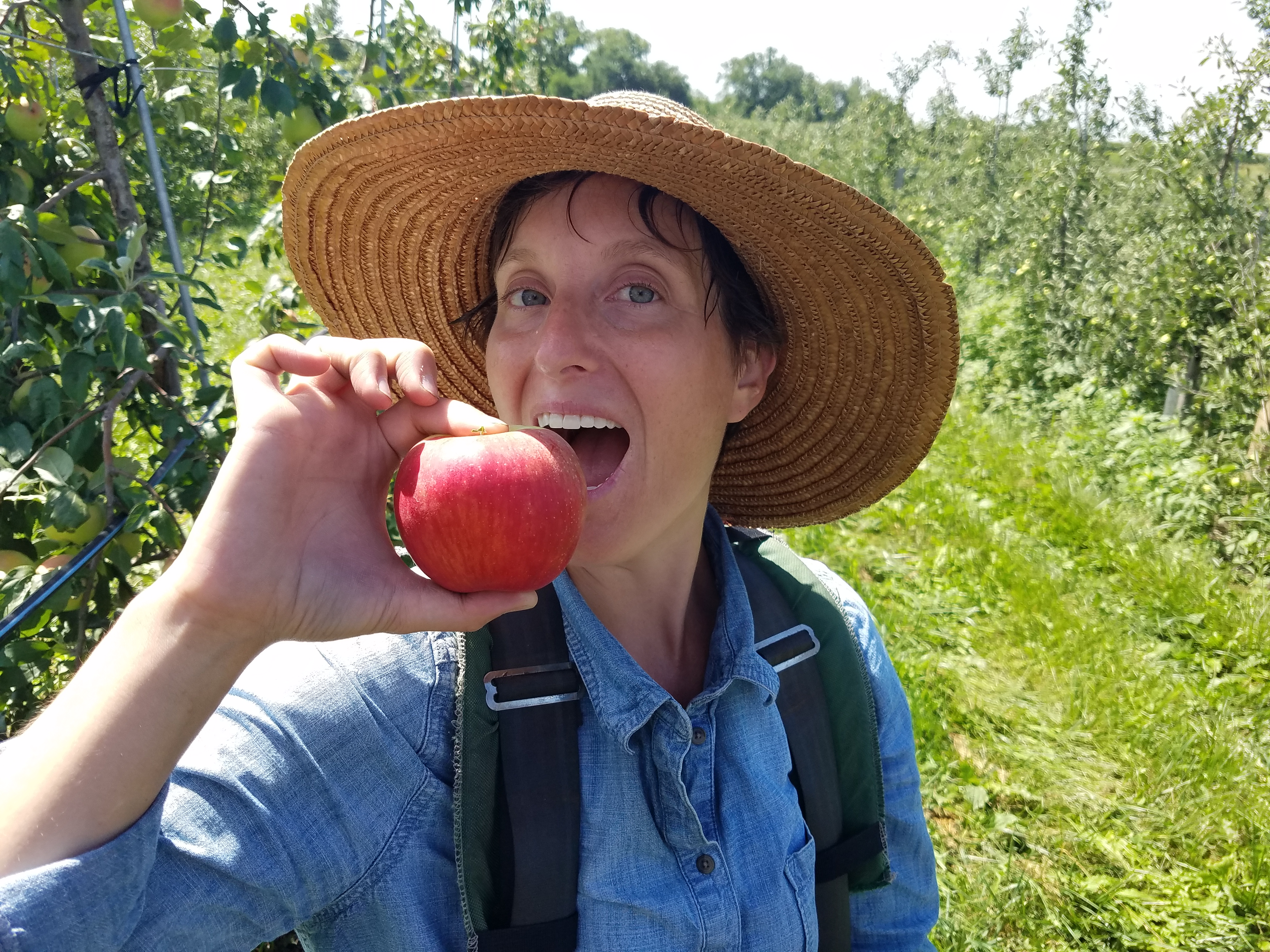 Here I am working hard as primary apple taster last year. Looking forward to having apples is a few short weeks.